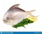 POMFRET